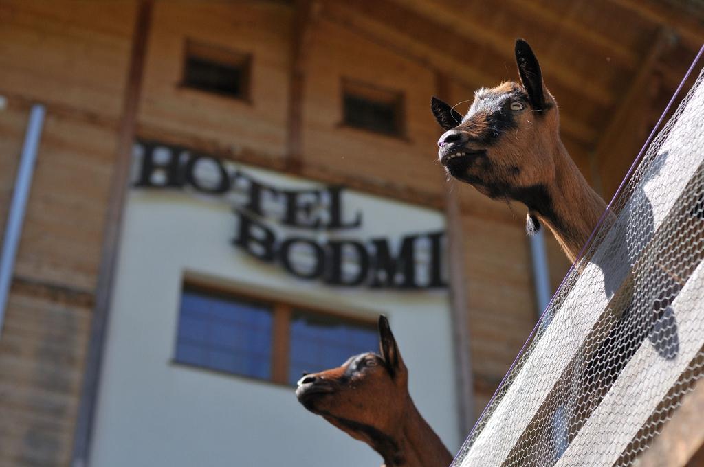Hotel Bodmi Grindelwald Exterior photo